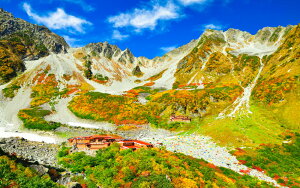 G敗 ǎ|X^[ (͂V[) -n̎B- {̍gtAJ[̐iƉ䍂xoR LN C-ZJP-068W2 (Ch 603mm×376mm) { EH[XebJ[ C|