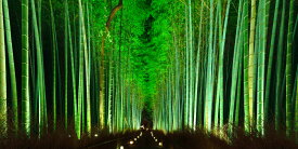 楽天市場 嵯峨野 嵐山 壁紙 装飾フィルム インテリア 寝具 収納 の通販