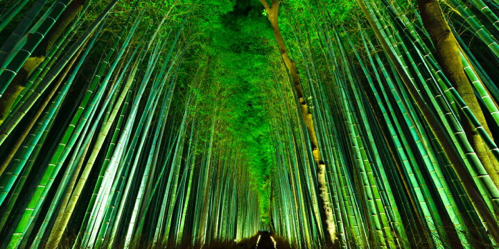 楽天市場 絵画風 壁紙ポスター はがせるシール式 地球の撮り方 浮かび上がる竹の道 京都嵐山のライトアップされる嵯峨野 竹林の道 パノラマ 日本の絶景 キャラクロ C Zjp 074s1 1152mm 576mm 建築用壁紙 耐候性塗料 インテリア レアルインターショップ