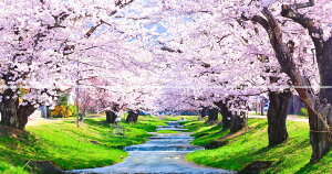 G敗 ǎ|X^[ (͂V[) y㉺2dlz-n̎B- ꗎiX̐ƍ̐iAc㒬̊ω̍؁sʐ^/YYt LN C-ZJP-076X1W (p