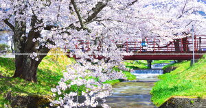 G敗 ǎ|X^[ (͂V[) y㉺2dlz-n̎B- ꗎiX̐ƍ̐iAc㒬̊ω̍؁sʐ^/YYt LN C-ZJP-077X1W (p