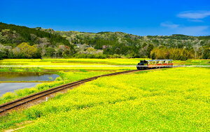 G敗 ǎ|X^[ (͂V[) y㉺2dlz-n̎B- S̍؂̉Ԕ𑖂gbR tsssʐ^/YYt LN C-ZJP-082L1W (pm}L