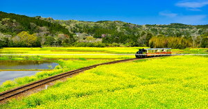 G敗 ǎ|X^[ (͂V[) y㉺2dlz-n̎B- S̍؂̉Ԕ𑖂gbR tsssʐ^/YYt LN C-ZJP-082X1W (pm}X