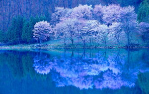 G敗 ǎ|X^[ (͂V[) y㉺2dlz-n̎B- ɉf钆j΂̋tƐ،΂̈{ 쌧咬ssʐ^/YYt LN C-ZJP-092L1W (pm