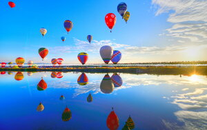 G敗 ǎ|X^[ (͂V[) y㉺2dlz-n̎B- ʂMCAC^[iVio[tFX^sʐ^/YYt LN C-ZJP-100L1W (p