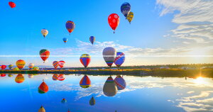 G敗 ǎ|X^[ (͂V[) y㉺2dlz-n̎B- ʂMCAC^[iVio[tFX^sʐ^/YYt LN C-ZJP-100X1W (p