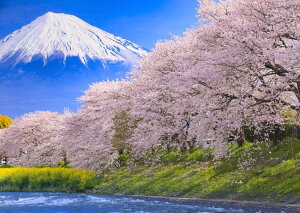 龍 絵画 壁材の人気商品 通販 価格比較 価格 Com