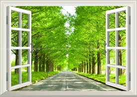 楽天市場 地球の撮り方 どこまでも続く並木道 メタセコイア並木の新緑の通販