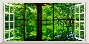 G敗 ǎ|X^[ (͂V[) -̌iF- -n̎B- V΂˂鏰݂ s̗ڗ@̏t̓ʔq ydl^gbNA[gz LN C-ZJP-051MS1 (pm