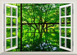 G敗 ǎ|X^[ (͂V[) -̌iF- -n̎B- V΂˂鏰݂ s̗ڗ@̏t̓ʔq ydl^gbNA[gz LN C-ZJP-052MA1 (A1 830mm