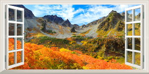 G敗 ǎ|X^[ (͂V[) -̌iF- -n̎B- {̍gtAJ[̐iƉ䍂xoR ydl^gbNA[gz LN C-ZJP-066MS1 (pm}S 1152mm×57