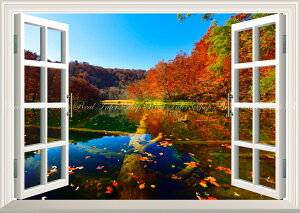 G敗 ǎ|X^[ (͂V[) -̌iF- -n̎B- Ԃ̃Vg[̐iAgt̒ӏ̒Ă X\acs ydl^gbNA[gz LN C-ZJP-069MA2 (A2 59