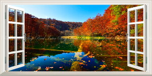 G敗 ǎ|X^[ (͂V[) -̌iF- -n̎B- Ԃ̃Vg[̐iAgt̒ӏ̒Ă X\acs ydl^gbNA[gz LN C-ZJP-069MS1 (pm