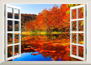 G敗 ǎ|X^[ (͂V[) -̌iF- -n̎B- Ԃ̃Vg[̐iAgt̒ӏ̒Ă X\acs ydl^gbNA[gz LN C-ZJP-070MA1 (A1 83