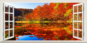 G敗 ǎ|X^[ (͂V[) -̌iF- -n̎B- Ԃ̃Vg[̐iAgt̒ӏ̒Ă X\acs ydl^gbNA[gz LN C-ZJP-070MS1 (pm