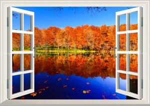 G敗 ǎ|X^[ (͂V[) -̌iF- -n̎B- Ԃ̃Vg[̐iAgt̒ӏ̒Ă X\acs ydl^gbNA[gz LN C-ZJP-071MA2 (A2 59