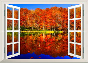 G敗 ǎ|X^[ (͂V[) -̌iF- -n̎B- Ԃ̃Vg[̐iAgt̒ӏ̒Ă X\acs ydl^gbNA[gz LN C-ZJP-072MA2 (A2 59