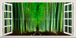 G敗 ǎ|X^[ (͂V[) -̌iF- -n̎B- яオ|̓BsR̃CgAbv鍵A|т̓ ydl^gbNA[gz LN C-ZJP-073MS