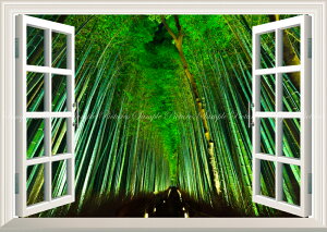 G敗 ǎ|X^[ (͂V[) -̌iF- -n̎B- яオ|̓BsR̃CgAbv鍵A|т̓ ydl^gbNA[gz LN C-ZJP-074MA