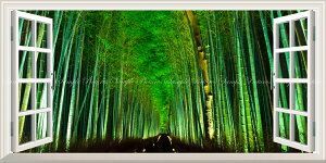 G敗 ǎ|X^[ (͂V[) -̌iF- -n̎B- яオ|̓BsR̃CgAbv鍵A|т̓ ydl^gbNA[gz LN C-ZJP-075MS