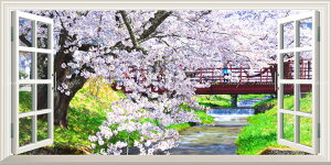 G敗 ǎ|X^[ (͂V[) -̌iF- -n̎B- ꗎiX̐ƍ̐iAc㒬̊ω̍ ydl^gbNA[gz LN C-ZJP-077MS1 (pm
