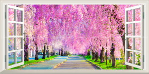 G敗 ǎ|X^[ (͂V[) -̌iF- -n̎B- ȂsÑVfAA쑽ŝ ydl^gbNA[gz LN C-ZJP-079MS1 (pm}S 1
