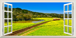 G敗 ǎ|X^[ (͂V[) -̌iF- -n̎B- S̍؂̉Ԕ𑖂gbR tss ydl^gbNA[gz LN C-ZJP-081MS1 (pm}S 115