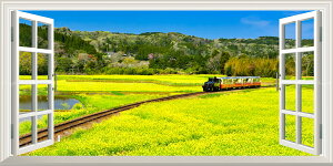 G敗 ǎ|X^[ (͂V[) -̌iF- -n̎B- S̍؂̉Ԕ𑖂gbR tss ydl^gbNA[gz LN C-ZJP-082MS1 (pm}S 115