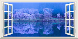 絵画風 壁紙ポスター (はがせるシール式) -窓の景色- -地球の撮り方- 月光に映る中綱湖の逆さ桜と青木湖の一本桜 長野県大町市 【窓仕様/トリックアート】 キャラクロ C-ZJP-093MS1 (パノラマS