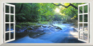 G敗 ǎ|X^[ (͂V[) -̌iF- -n̎B- ̃V[Ɣ̐AerkJ̐i ydl^gbNA[gz LN C-ZJP-098MS1 (pm}S 1152mm