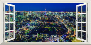 G敗 ǎ|X^[ (͂V[) -̌iF- -n̎B- ^[]AVeBr[̍Li ydl^gbNA[gz LN C-ZJP-105BMS1 (pm}S 115