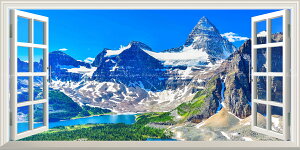 G敗 ǎ|X^[ (͂V[) -̌iF-n̎B- Vh̎R JifBAbL[ }EgEAVj{C ydl^gbNA[gz LN C-ZWD-031MS1 (p