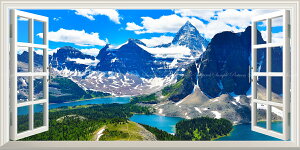 G敗 ǎ|X^[ (͂V[) -̌iF-n̎B- Vh̎R JifBAbL[ }EgEAVj{C ydl^gbNA[gz LN C-ZWD-032MS1 (p