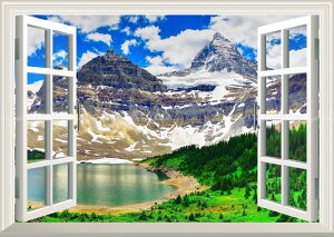 G敗 ǎ|X^[ (͂V[) -̌iF-n̎B- Vh̎R JifBAbL[ }EgEAVj{C ydl^gbNA[gz LN C-ZWD-038MA1 (A1