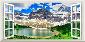 G敗 ǎ|X^[ (͂V[) -̌iF-n̎B- Vh̎R JifBAbL[ }EgEAVj{C ydl^gbNA[gz LN C-ZWD-038MS1 (p