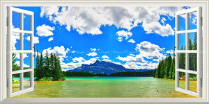 G敗 ǎ|X^[ (͂V[) -̌iF-n̎B- gD[EWbNCÑhR JifBAbL[ydl^gbNA[gzLN C-ZWD-053MS1 (pm