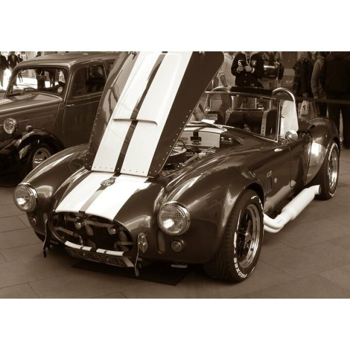 楽天市場 絵画風 壁紙ポスター はがせるシール式 Ac コブラ Cobra シェルビー ヴィンテージ セピア キャラクロ Accb 006a1 A1版 0mm 585mm レアルインターショップ