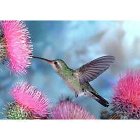 絵画風 壁紙ポスター (はがせるシール式) ハチドリと花の蜜 蜂鳥 世界最小の鳥 ハミングバード 鳥 キャラクロ BHCD-004A2 (A2版 594mm×420mm) ＜日本製＞ ウォールステッカー お風呂ポスター