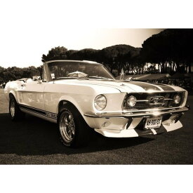 楽天市場 壁紙 Fordの通販