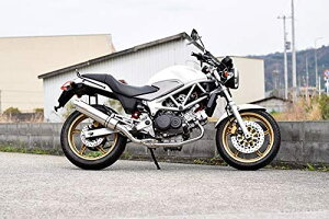 Realize VTR250 VTR-F Type LD oCN}t[ JBK-MC33 FIԐp Aria AA XeX XbV^Cv (TypeS) }t[ ACY z_ oCNpi oCNp oCNp[c JX^ p[c hX
