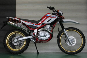 Realize Z[250 oCN}t[ 2BK-DG31J 2018N`2020NfΉ Aria AA XeX J[^Cv (TypeC) }t[ ACY }n oCNpi oCNp oCNp[c JX^ p[c 