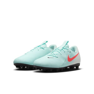NIKE iCL JR t@g GX II AJf~[ HG[MAD ENERGY PACK] FJ2602 300 25SP  TbJ[p WjA XpCN y AX|[c