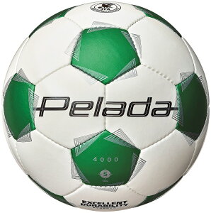 molten e TbJ[{[ 5 y[_4000 x F5K4000-WG JFA苅 AX|[c