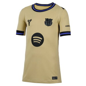 NIKE iCL LbY 25/26 FCoZi AWAY vJjtH[ hj5286-784 R[r[ TbJ[ X^WAVc  qp