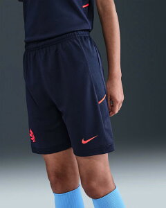 NIKE iCL WjA A[OEn[h DF AJf~[25 V[g hv0213-498 lCr[ V[c vNeBXV[c TbJ[EGA