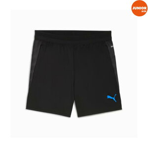 PUMA v[} 25AW WjA INDIVICUP TR V[c 660498-07 vNeBXpc V[gpc TbJ[EGA g[jOEGA@