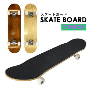 XP{[ XP[g{[h uN Rv[g n uNfbL Zbg i l LbY q S XP[^[ Xg[g X|[c AEghA ###XP{[901Y-###