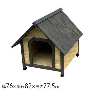 EbfB WDK-750