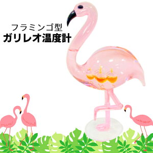 KIxv CeAxv t~S Mtg v[g 蕨 CeA u KX t[g xv  ###xvxvGAG23O1###