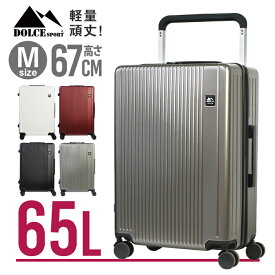スーツケース TSAロック付 Sサイズ Mサイズ 40L 65L 大容量 キャリーバッグ キャリーケース 4輪 ダブルキャスター 超軽量 頑丈 コンパクト 小型 中型 鏡面加工 光沢 送料無料 ###ケースK188-###